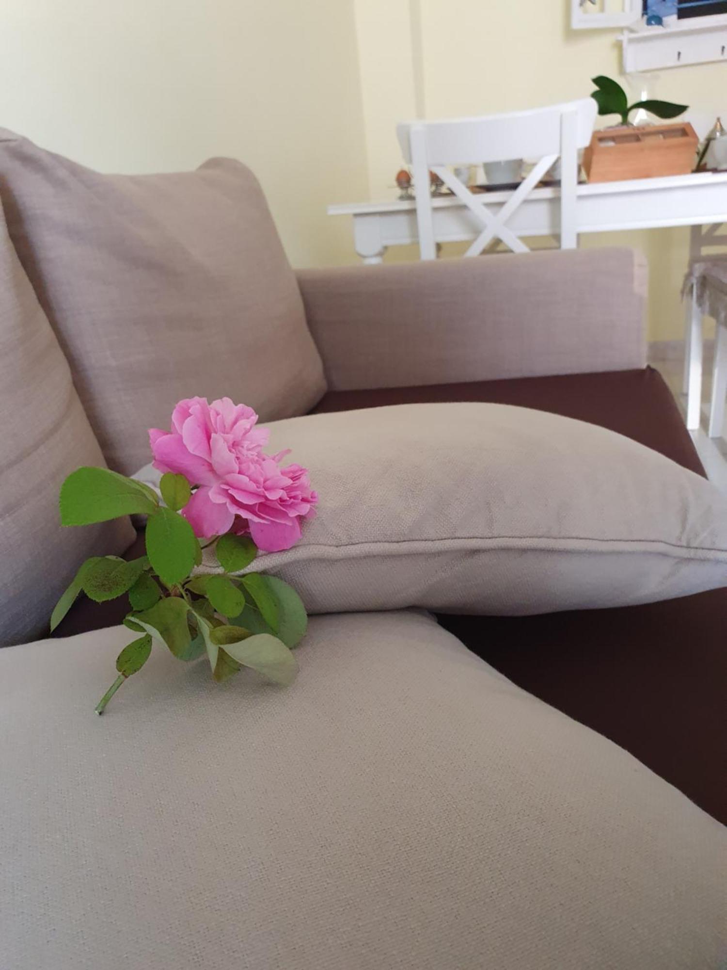 Casa Vacanze Rosy "Nel Verde" Палинуро Екстериор снимка