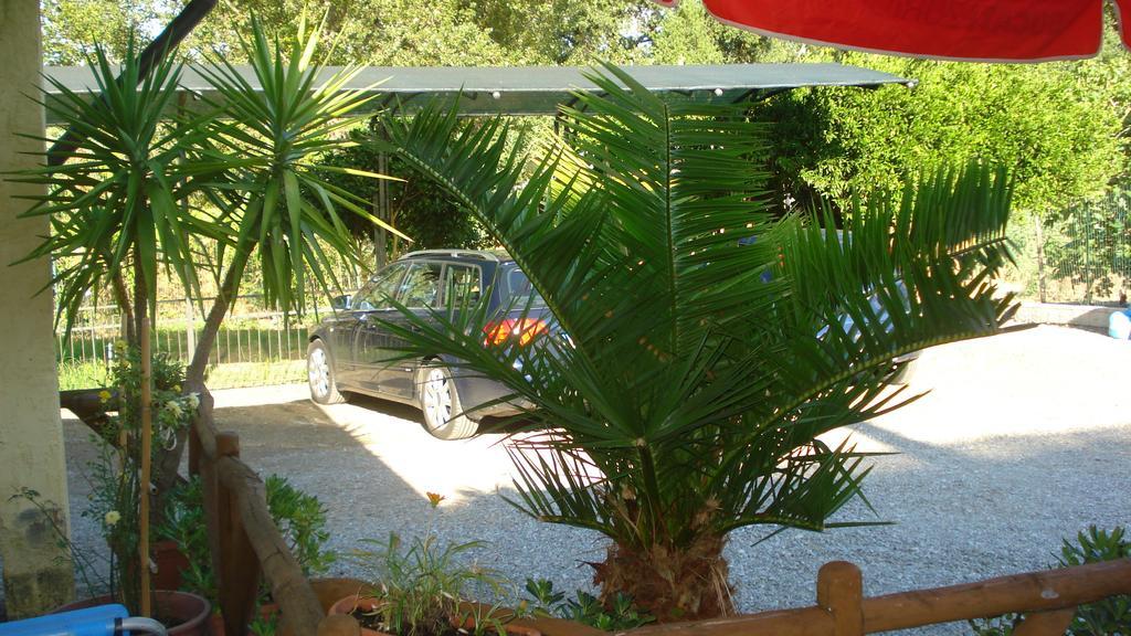 Casa Vacanze Rosy "Nel Verde" Палинуро Екстериор снимка